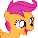 Scoot