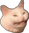 TESAsco Discord emoji