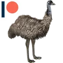 emuwu