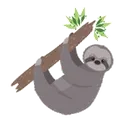 sloth