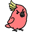 cacaputo