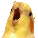 HELLO