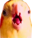 AAAA