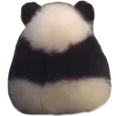 angy