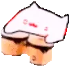 BongoCatIntensifies