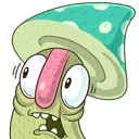 shroom_shook