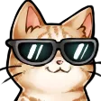 coolcat Discord Emoji
