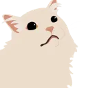 o_