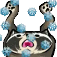 yaySnow