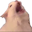 maximumYowl