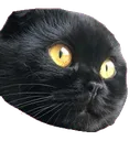 meems