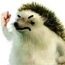 grr