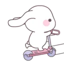 BunnyZoom BunnyZoom