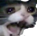 hhh