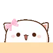nyaPeek
