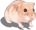 ham