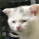 tired