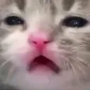 ewww