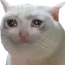 cry1