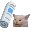 badcat badcat