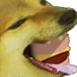 borgar