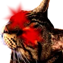df_armok