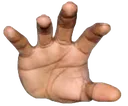 hand hand
