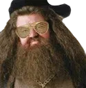 swagrid