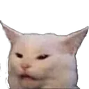 lemon_cat