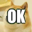 D1_dogeOK