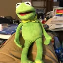 kinkykermit