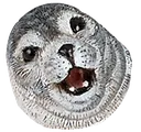 seal