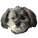 dylanfurryball Discord emoji