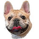archiehappy Discord emoji