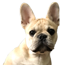 archiebruh Discord emoji