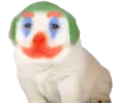 jokerdog