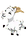 goatdance