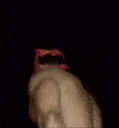 ricardo