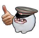 doggothumbsup