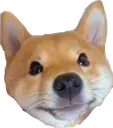 dogeSmile