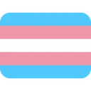 trans_flag