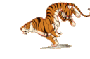 :TigerRun: Discord Emote