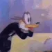 awooga awooga