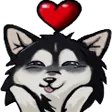 iamcatLOVE