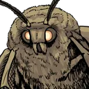 moth