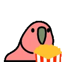 popcorn popcorn