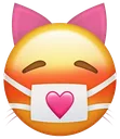 nyan