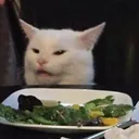 ymb_catsee Discord Emoji