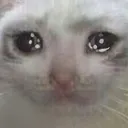 :chat: chat