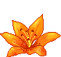 luzlilyorange Discord Emoji